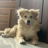 (Kategori: ) berada di . Dikirim oleh jchelseaa (ID iklan 1382297800, Gambar 1). Deskripsi: .