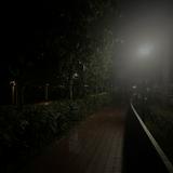 (Category: ) located in . Submitted by jspr0027 (Listing ID 1384574204, Image 1). Description: .