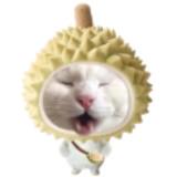 （分類：）位於 。 由 bacon_onlineshop 提交（商品編號 1383579335，圖片 1）。簡介： 。