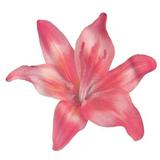 (Kategori: ) berada di . Dikirim oleh pinkystraww (ID iklan 1382151849, Gambar 1). Deskripsi: .