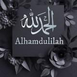 (Category: ) located in . Submitted by alhamdulillah24 (Listing ID 1381979453, Image 1). Description: .
