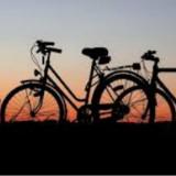 (Category: ) located in . Submitted by bikeplace (Listing ID 1458058723, Image 1). Description: .