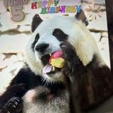 由 sumeljusumelju (刊登 ID 1384650838，圖片 1) 提交，位於 的 (類別：)，說明：。