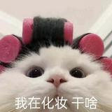 由 xinen_06 (刊登 ID 1382000492，圖片 1) 提交，位於 的 (類別：)，說明：。
