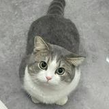 (Category: ) located in . Submitted by hmojheshrd16121 (Listing ID 1381489536, Image 1). Description: .