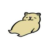頭像