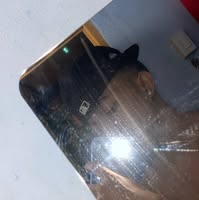 (Category: ) located in . Submitted by sanandresk94828 (Listing ID 1386254406, Image 1). Description: .