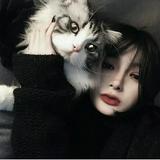(分類:)位於 。 由 mary._ 提交(商品編號 1451264759,圖片 1)。簡介: 。