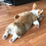（分類：）位於 。 由 yyooppcoo 提交（商品編號 1382220342，圖片 1）。簡介： 。