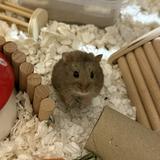 (Category: ) located in . Submitted by beantrish (Listing ID 1382350881, Image 1). Description: .