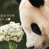 (Category: ) located in . Submitted by zhuliyebenzhu (Listing ID 1382620772, Image 1). Description: .