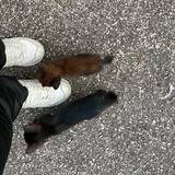 (Category: ) located in . Submitted by jojornlf (Listing ID 1454880656, Image 1). Description: .