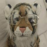 (Category: ) located in . Submitted by haisteryuu (Listing ID 1384992184, Image 1). Description: .