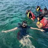 (Kategori: ) berada di . Dikirim oleh novaindri76469 (ID iklan 1382258564, Gambar 1). Deskripsi: .