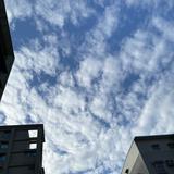 由 x_xin6667 (刊登 ID 1382351586，圖片 1) 提交，位於 的 (類別：)，說明：。