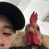 由 cctienhan (刊登 ID 1382866956，圖片 1) 提交，位於 的 (類別：)，說明：。