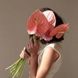 (Kategori: ) berada di . Dikirim oleh aquariansonly (ID iklan 1383316729, Gambar 1). Deskripsi: .