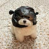 (Category: ) located in . Submitted by idkwhatname. (Listing ID 1370329968, Image 1). Description: .