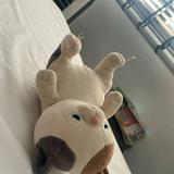 (Category: ) located in . Submitted by malcolm75557 (Listing ID 1382737194, Image 1). Description: .