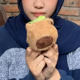 (Kategori: ) berada di . Dikirim oleh prlvdcayul (ID iklan 1384672326, Gambar 1). Deskripsi: .