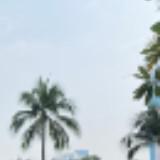 (Kategori: ) berada di . Dikirim oleh qbiely_zee27 (ID iklan 1386893200, Gambar 1). Deskripsi: .