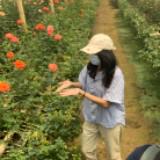 (Kategori: ) berada di . Dikirim oleh caca1909 (ID iklan 1382999342, Gambar 1). Deskripsi: .