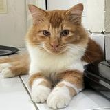 (Kategori: ) berada di . Dikirim oleh caramelmachiato_ls (ID iklan 1383063867, Gambar 1). Deskripsi: .
