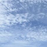 （分類：）位於 。 由 overdosez 提交（商品編號 1369009065，圖片 1）。簡介： 。