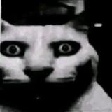(Category: ) located in . Submitted by ksjskskj (Listing ID 1347070491, Image 1). Description: .