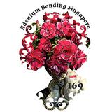 (Category: ) located in . Submitted by adenium_bonding_singapore (Listing ID 1386588782, Image 1). Description: .