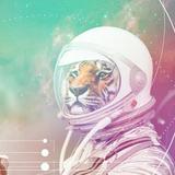 （分類：）位於 。 由 techlockerhk 提交（商品編號 1383622743，圖片 1）。簡介： 。