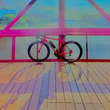 (Category: ) located in . Submitted by bomboclatt_sigma (Listing ID 1383420559, Image 1). Description: .