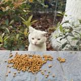 (Category: ) located in . Submitted by sharkfinindish (Listing ID 1383403450, Image 1). Description: .