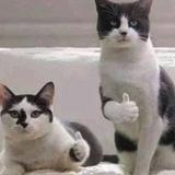 (Kategori: ) berada di . Dikirim oleh decluterun (ID iklan 1383605189, Gambar 1). Deskripsi: .