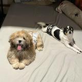 (Category: ) located in . Submitted by clo.08 (Listing ID 1381747375, Image 1). Description: .