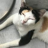 (Kategori: ) berada di . Dikirim oleh elyzee (ID iklan 1384146178, Gambar 1). Deskripsi: .