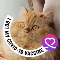 （分類：）位於 。 由 florencec82752 提交（商品編號 1384772136，圖片 1）。簡介： 。