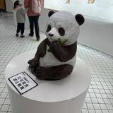 由 isa_husband_store (刊登 ID 1383548604，圖片 1) 提交，位於 的 (類別：)，說明：。