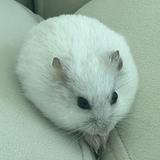(Category: ) located in . Submitted by kirby._. (Listing ID 1465811800, Image 1). Description: .