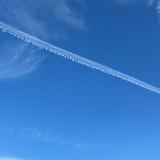 由 mark90885645246 (刊登 ID 1383583631，圖片 1) 提交，位於 的 (類別：)，說明：。