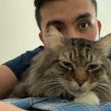 (Category: ) located in . Submitted by syedmohdnazrin93 (Listing ID 1459930988, Image 1). Description: .
