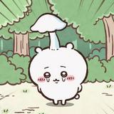 由 tvkbk49bph34667 (刊登 ID 1384010027，圖片 1) 提交，位於 的 (類別：)，說明：。