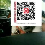 (Category: ) located in . Submitted by ogiesiomai23 (Listing ID 1383875697, Image 1). Description: .