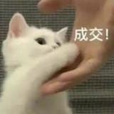 由 ange1120 (刊登 ID 1378331009，圖片 1) 提交，位於 的 (類別：)，說明：。