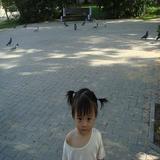 由 lisalisa0926 (刊登 ID 1385992981，圖片 1) 提交，位於 的 (類別：)，說明：。