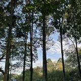 (Category: ) located in . Submitted by mergordd (Listing ID 1405892411, Image 1). Description: .