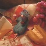 （分類：）位於 。 由 notfionaaaa 提交（商品編號 1383778983，圖片 1）。簡介： 。