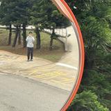 由 lncnyu (刊登 ID 1383948443，圖片 1) 提交，位於 的 (類別：)，說明：。