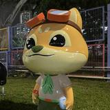 (分類:)位於 。 由 mannykc 提交(商品編號 1317071226,圖片 1)。簡介: 。
