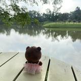 (Kategori: ) berada di . Dikirim oleh oncecurated (ID iklan 1381328837, Gambar 1). Deskripsi: .